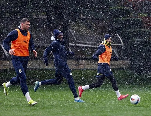 Kanarya kar altında çalıştı