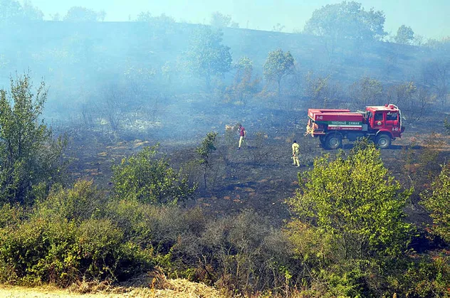 Tekirdağ'da 200 dönümlük orman kül oldu