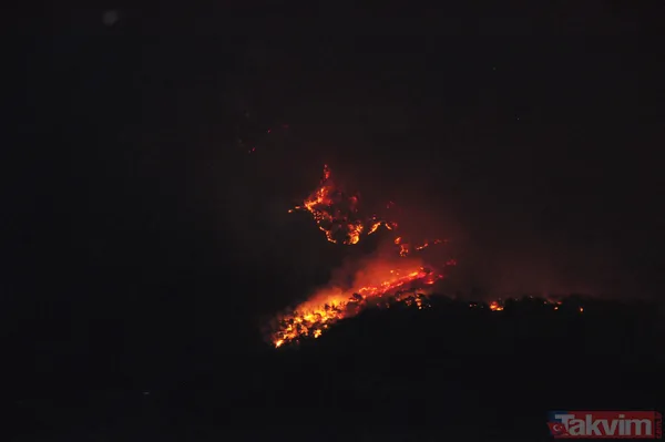 Kan kaybeden PKK, Türkiye'nin ormanlarını yakıyor: Yunanistan'da eğitim gördüler hedeflerinde turistik bölgeler var - 26