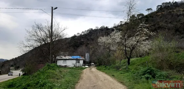 Bolu sırlarla dolu! Mudurnu'da esrarengiz kazı: Arazi sahibi alana yaklaştırılmıyor, telefonlar toplanıyor, yerin metrelerce altına inildi - 15