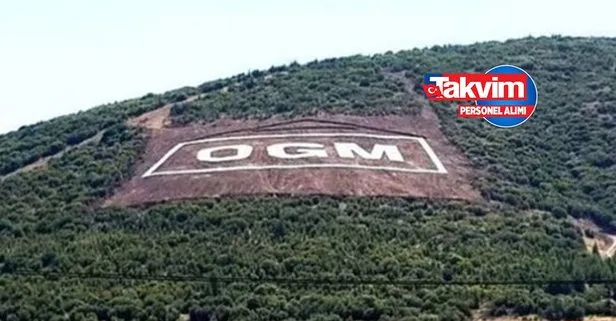 Orman Genel Müdürlüğü 5 bin geçici personel alımı başvuru sonuç tarihi!