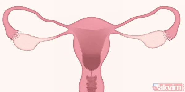 Menopoz sonrası 31 kilo verdiren ve tansiyonu iyileştiren 10 günlük sıfırlama metodunu açıkladı - 2