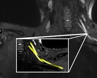 Bilim insanları ilk kez görüntüledi!