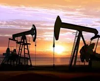 TPAO’nun petrol arama ruhsatı 2 yıl uzatıldı
