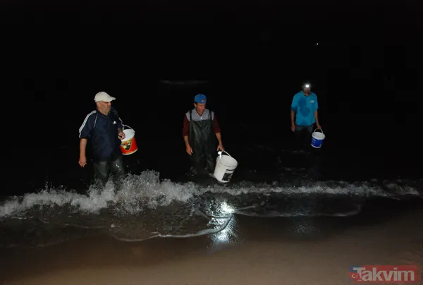 Tonlarca balık kıyıya vurdu! Çuvalı, kovayı kopan sahile koştu - 8