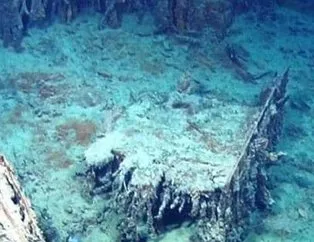 Okyanusun altında inanılmaz görüntü! Dalgıçlar şoka uğradı…