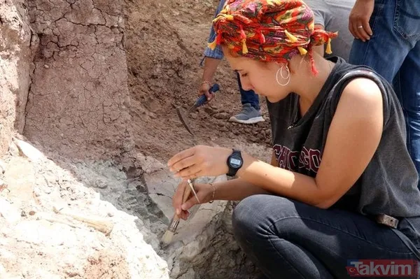 Çankırı'da 8,5 milyon yıllık fosil bulundu! - 17