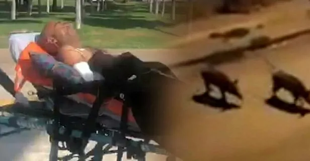 Domuz saldırısına uğrayan çoban askeri helikopterle...