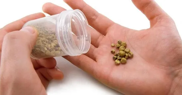 yuksek-kolesterol-safra-tasi-riskini-artiyor-uzmanlardan-ozellikle-kadinlara-uyari-1664572268689.jpeg Yüksek kolesterol, safra taşı riskini artıyor! Uzmanlardan özellikle kadınlara uyarı...-4