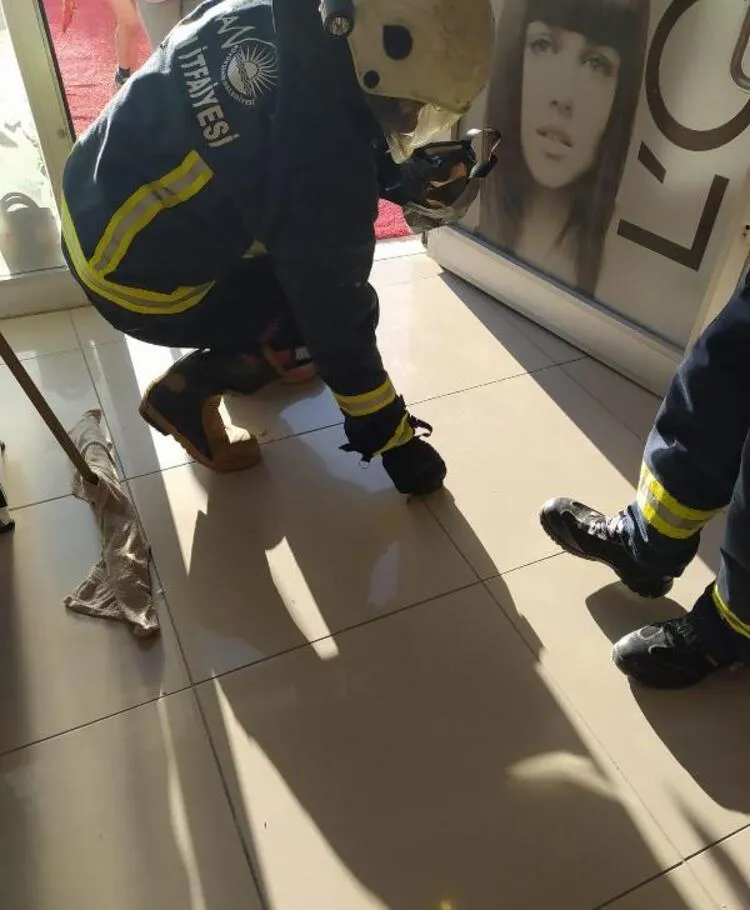 Yılanlar ile ilgili şoke eden bilgi! Bu saatte çıkan yılanlar yüzde 99 zehirli! - 7