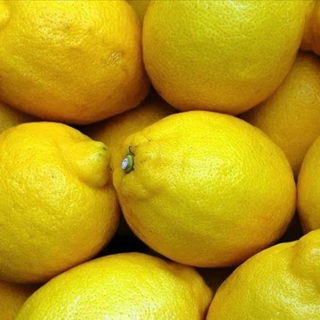 İstanbul’un zam şampiyonu limon