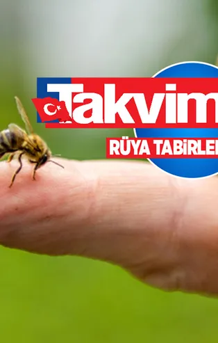 Rüyada arı öldürmek ne anlama gelir, neye işarettir? Rüyada arı sokmasının anlamı, yorumu