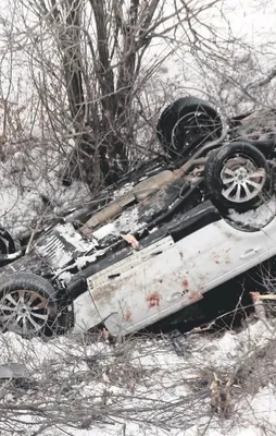 Ölümün soğuk yüzü