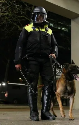 Faşizmin anavatanı Avrupa!