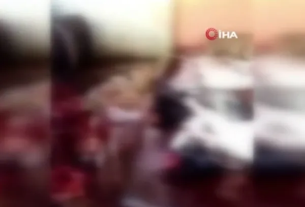 Adana'da mide bulandıran görüntü! 12 kesilmiş eşek ele geçirildi!-3