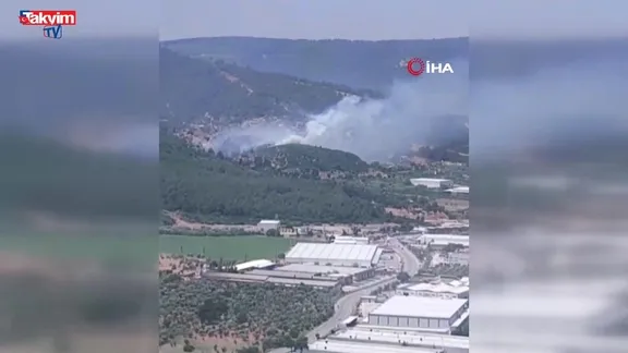 İzmir Kemalpaşa'da orman yangını - İZLE