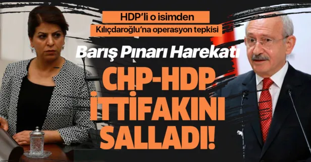 Barış Pınarı Harekatı CHP-HDP ittifakını salladı! HDP’li Sibel Yiğitalp’den Kılıçdaroğlu’na operasyon tepkisi…