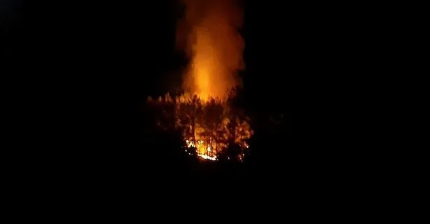 Muğla Fethiye’de orman yangını!