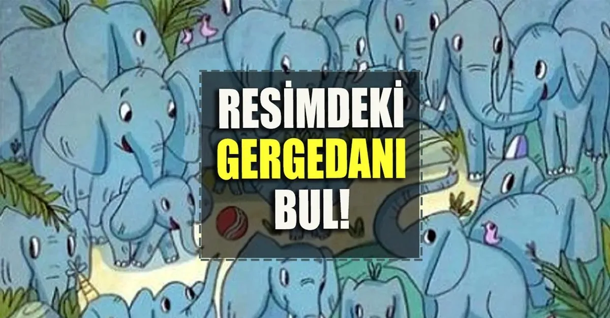 okul porno indir bekar kadın mandy hale