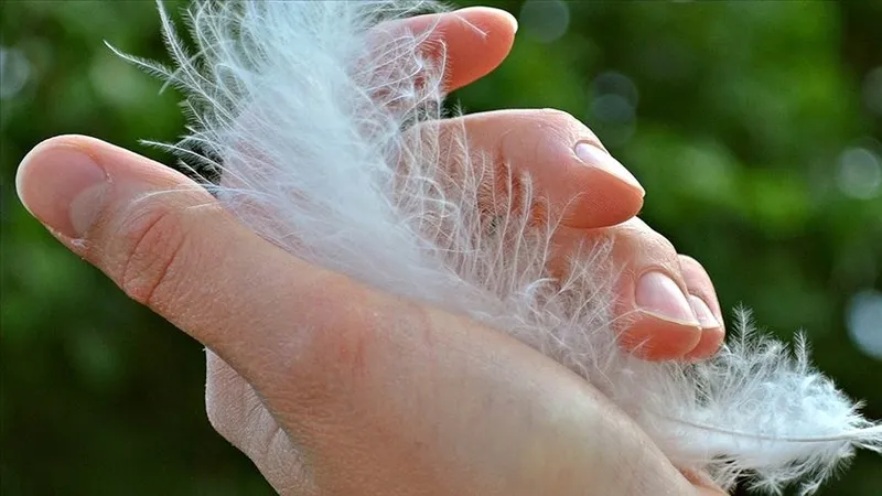 dikkat-kanser-habercisi-olabilir-herkes-tirnagini-kontrol-etsin-1725301650774.jpg Dikkat kanser habercisi olabilir! Herkes tırnağını kontrol etsin-5