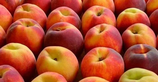 3 günde 3 kilo verdiren şeftali diyeti!
