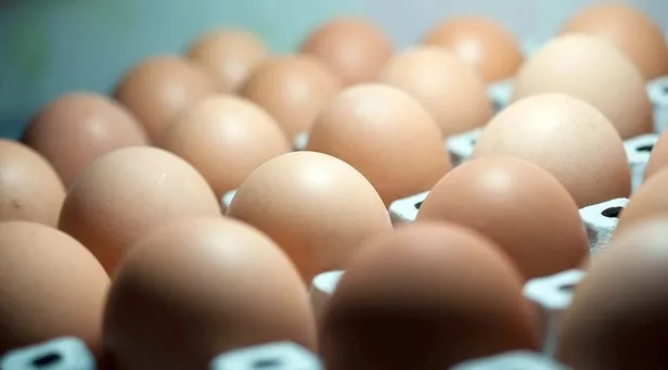 Yumurtada dioksin skandalı! Bağışıklık sistemine zarar veriyor-1
