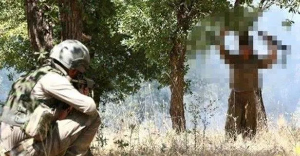 Son dakika: Terör örgütü PKK’da çözülme sürüyor! Şırnak’ta 2 terörist teslim oldu