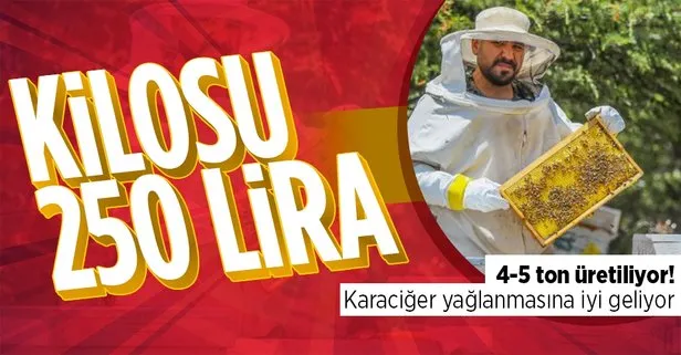 Kilosu 250 TL! 4-5 ton arasında üretilen lavanta balı karaciğer yağlanması ve birçok hastalığa iyi geliyor