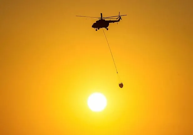 Aydın Söke'de orman yangını kontrol altında!-7