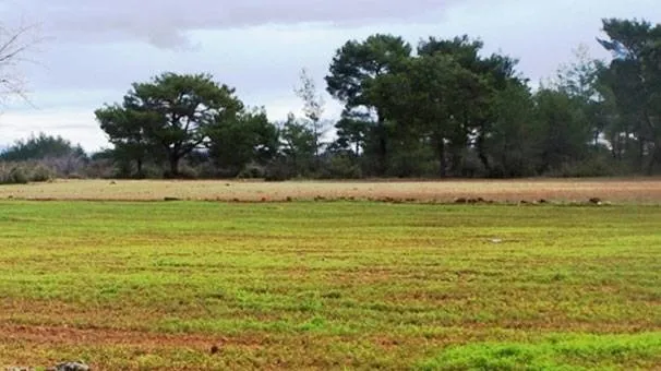 Arsa satın alma şartları: Arsa için kredi veren bankalar! (2020 güncel en uygun kredi seçenekleri ve başvuru şartları)-2