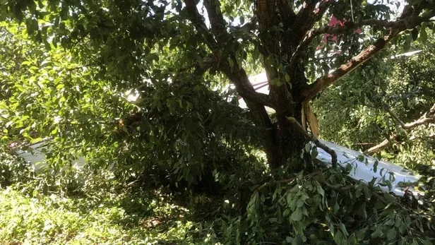 Bursa'da Cesna 172 tipi eğitim uçağı meyve bahçesine mecburi iniş yaptı! Uçak kazasının nedeni ortaya çıktı-2