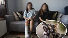 Hatay’da başıboş köpek dehşeti: Markete giden iki kız kardeşten biri yaralandı, diğeri travma geçirdi