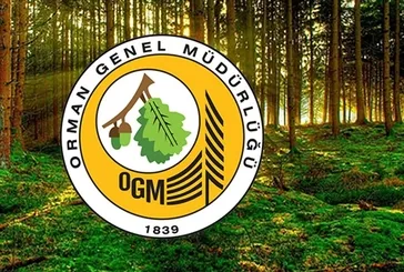 OGM 252 daimi işçi alımı İŞKUR başvuru ekranı | Orman Genel Müdürlüğü işçi alımı şartları neler? Kadrolar...
