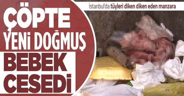 SON DAKİKA: İstanbul Sancaktepe’de çöp konteynerinde yeni doğmuş erkek bebek cesedi bulundu
