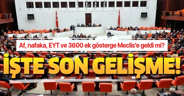 25 Kasım Meclis gündemi! Af, nafaka, EYT ve 3600 ek gösterge Meclis'e geldi mi?
