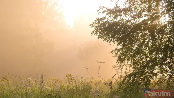 Mevsimlerin sayısı arttı! Bilime göre insan kaynaklı 2 yeni mevsim daha geldi - 6