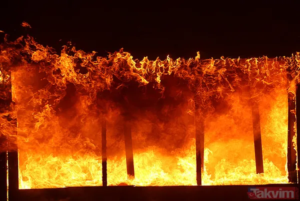 Los Angeles yangınında Hollywood yıldızlarının evleri kül oldu! Paris Hilton, Anthony Hopkins, John Goodman… - 2