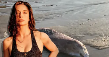 Yasemin Allendan Kilyos’taki kirliliğe tepki! Plastik atıkları ve ölen yunus balığı yavrusunu paylaştı İBB’ye isyan etti: Yazıklar olsun