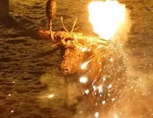 İspanya'da canlı boğayı ateşe verdiler