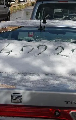 Yılın ilk karı Erzurum'a yağdı