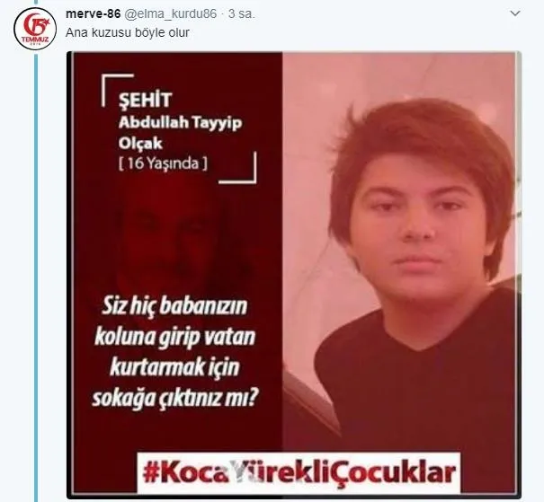 CHP'li vekil Mehmet Göker'den skandal paylaşım-3