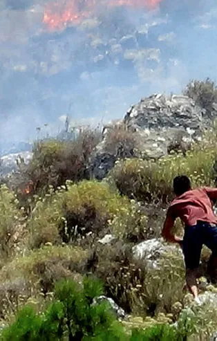Son dakika: Balıkesir'de orman yangını