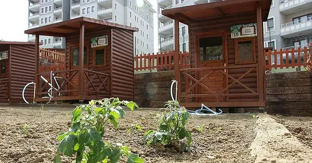 Hobi bahçelerine çekidüzen