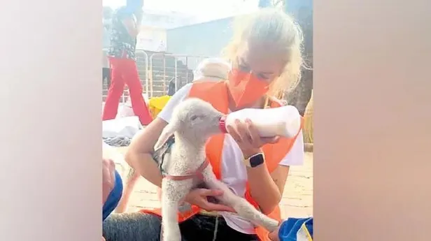 orman-yanginlarinin-ardindan-tum-turkiye-tek-yurek-oldu-unluler-her-koseye-yardima-kostu-1628283328411.jpeg Orman yangınlarının ardından tüm Türkiye tek yürek oldu! Ünlüler her köşeye yardıma koştu-3