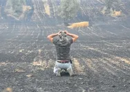 Çanakkale Geliboludaki yangın ekin tarlalarını küle çevirdi!