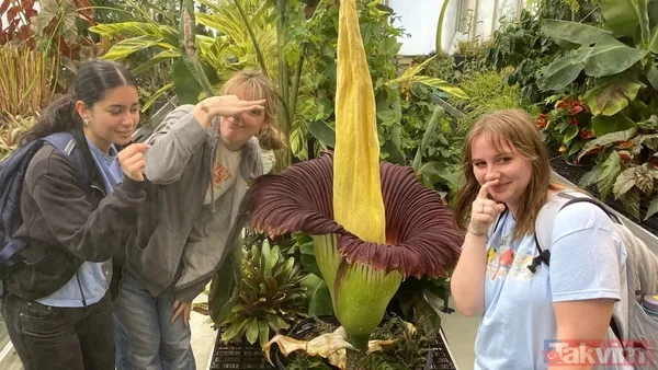 🔸ABD Botanik Bahçesi sözcüsü Devin Dotson, bahçedeki bitkinin kalıcı olarak toprağa ekilmiş olmasının bu açılmayı benzersiz kıldığını belirtiyor. Normalde...