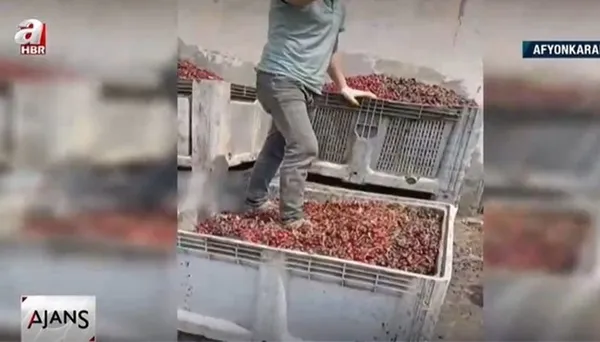 Afyonkarahisar'da meyve suyu fabrikasında isyan ettiren görüntüler! Ayakkabılarıyla meyvelerin üzerinde tepindi!-2