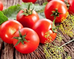 Domates kalbe dost