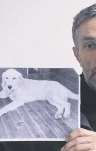 Bursa’da çalınan köpeğini Amerika'da buldu