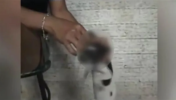 Vahşet kamerada Yavru köpeğin gözünde sigara söndürdüler